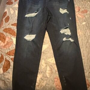 Lane Bryant Dark Blue Skinny Jeans